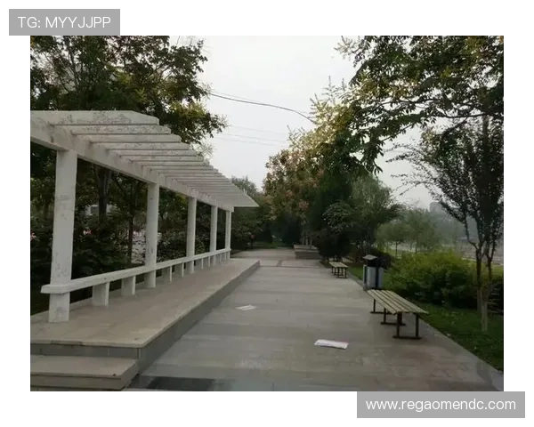 大阳城地址平台用户评价与成功案例分享，了解真实使用体验与效果