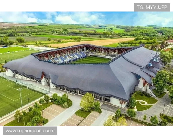 威斯尼斯人官方入口系统升级计划，持续优化提升用户体验